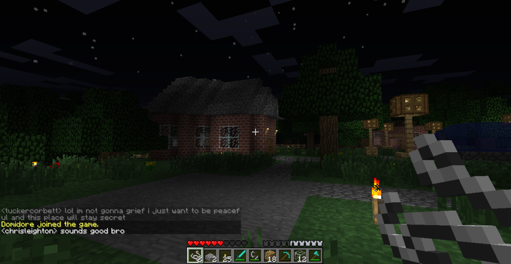 A player is standing in front of a house at night, with a chat window open.