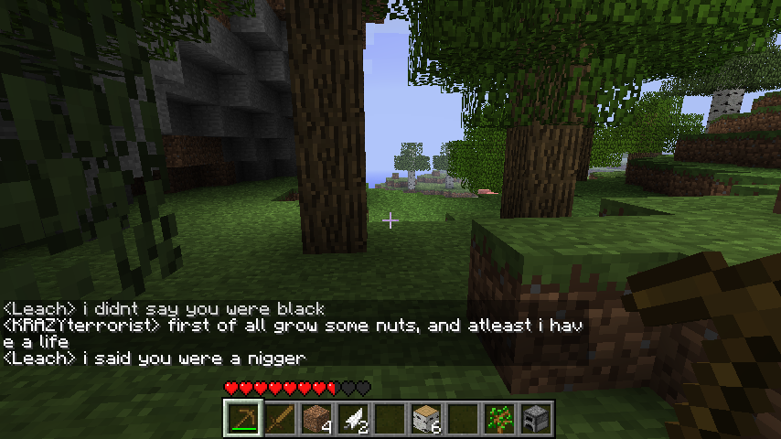 A player is standing in a forest biome, with a chat window open displaying racist messages.