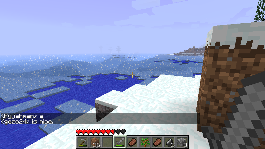 A player is standing on a snowy cliff overlooking a body of water, with a message in the chat saying 'is nice.'