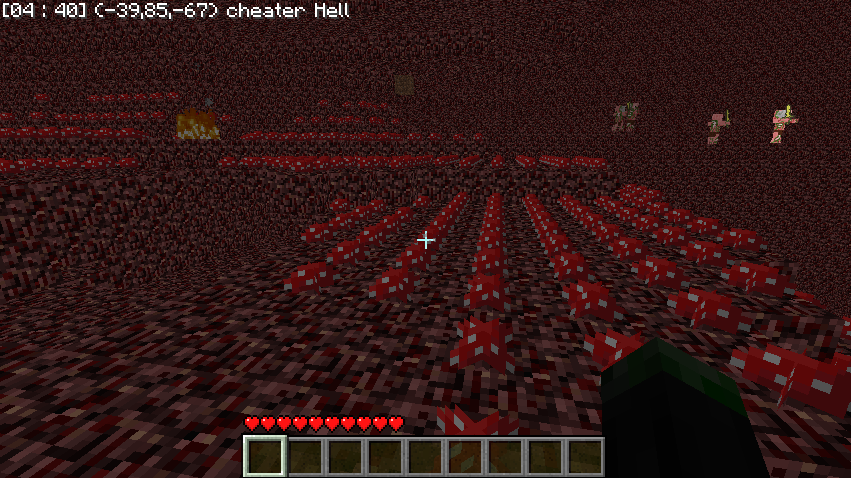 A player is in the Nether, surrounded by lava and fire. The chat window is open, displaying messages from other players.
