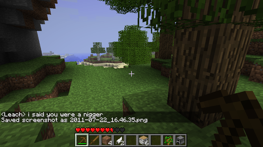 A player is standing in a forest biome, with a chat message saying 'i said you were a nigger'.