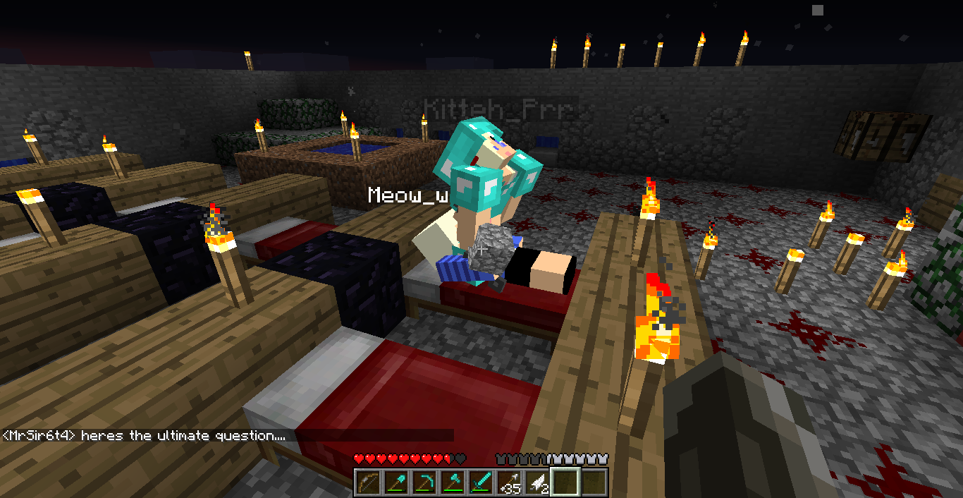 A screenshot of a Minecraft server with two players, Meow_w and MrSin5142, in a room with wooden blocks and lit torches.