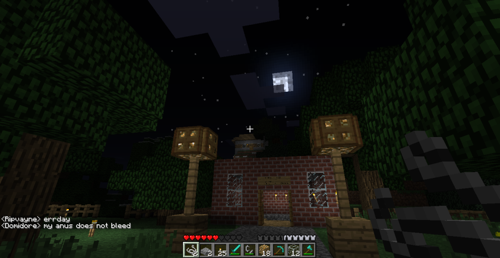 A build of a house with a garden and a path leading to it, surrounded by trees and a night sky.
