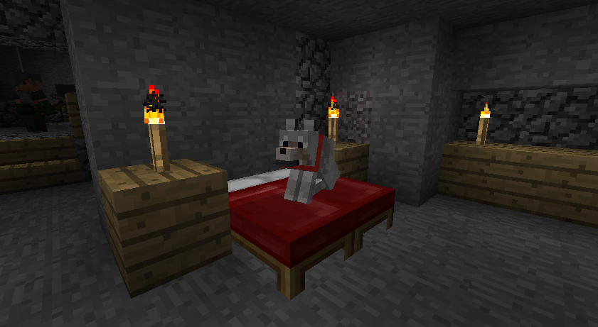 A red bed with a cat on it, surrounded by lit torches in a dimly lit room.