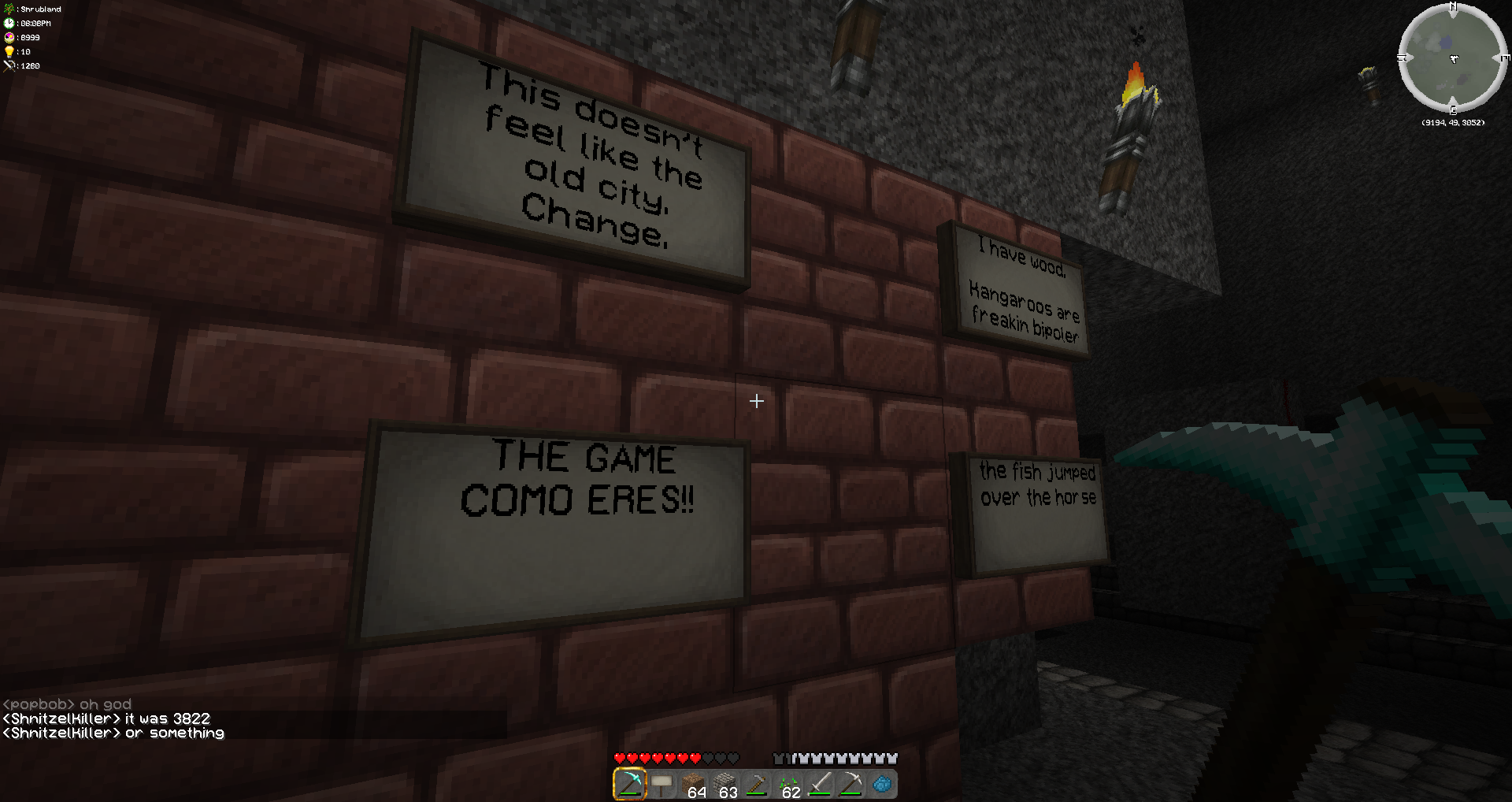 A wall with signs on it, with a player standing next to it.