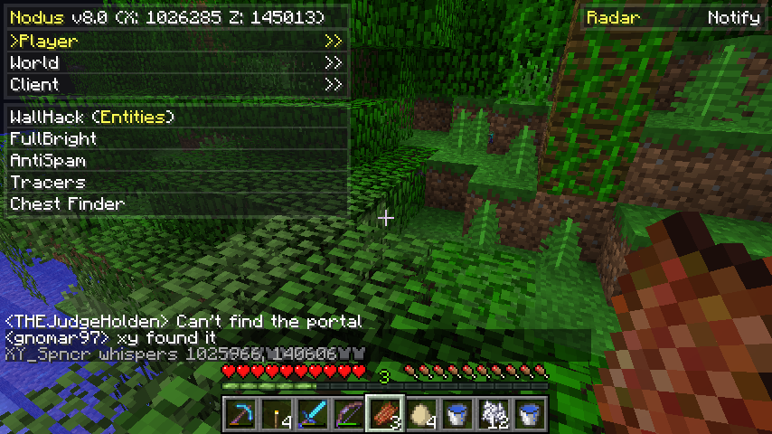 A player's screen with a list of entities and chat messages.