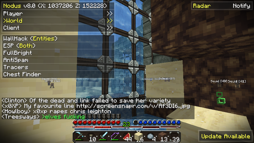 A player's screen with a list of entities and chat messages.