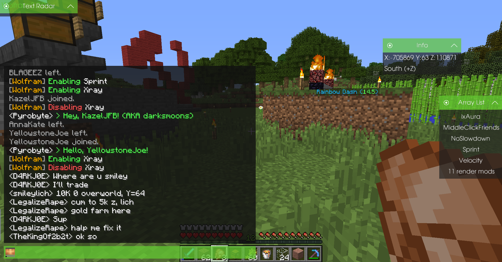 A player is standing in a field with a chat window open, displaying various messages.